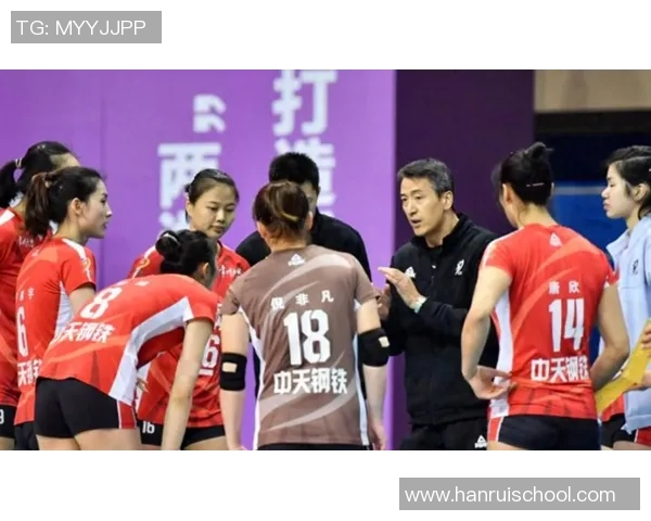 杭州排球队灵活性引发热议球迷与专家各执己见探讨战术变化